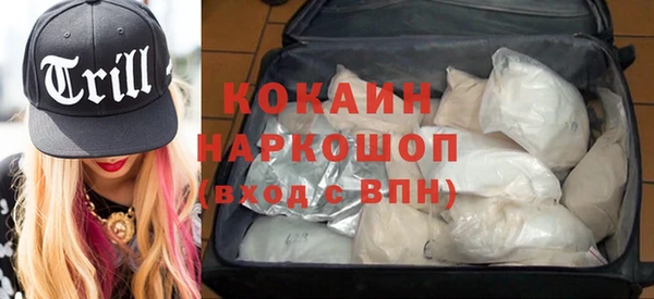 прущие грибы Дмитровск