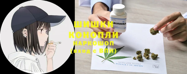 прущие грибы Дмитровск