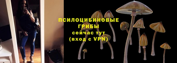 mix Дмитриев