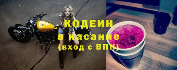 прущие грибы Дмитровск
