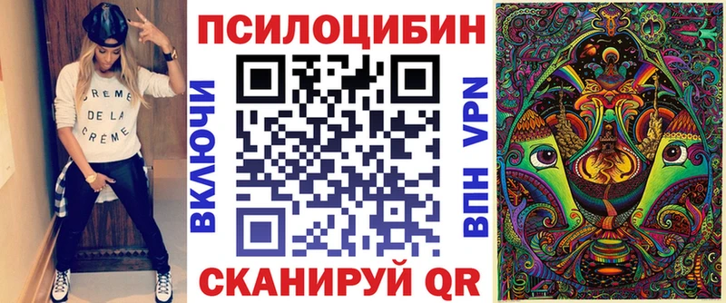 где продают наркотики  Перевоз  Псилоцибиновые грибы мицелий 